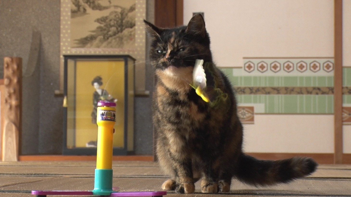 「ねこあつめの家」新写真
