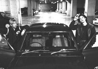 「アリーキャット」