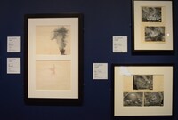 「ディズニー・アート展 いのちを吹き込む魔法」の様子。