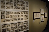 「ディズニー・アート展 いのちを吹き込む魔法」の様子。