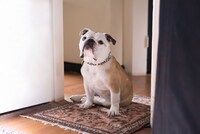 「パターソン」