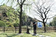 佐藤健