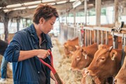 「るろうにほん 熊本へ」より。