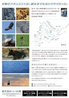 「生きとし生けるもの」チラシ裏