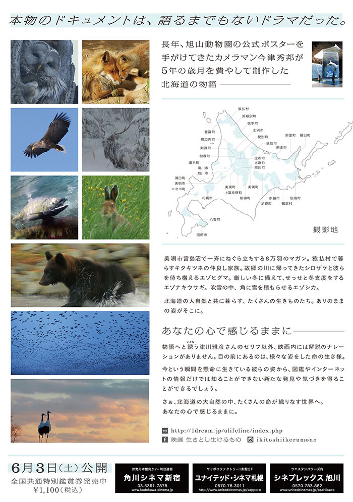 「生きとし生けるもの」チラシ裏