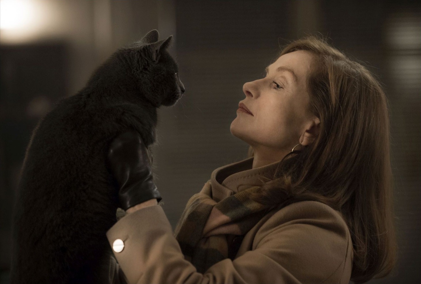 「エル ELLE」 (c)2015 SBS PRODUCTIONS - SBS FILMS - TWENTY TWENTY VISION FILMPRODUKTION - FRANCE 2 CINEMA - ENTRE CHIEN ET LOUP