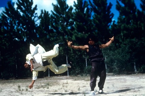 「ドランク・モンキー／酔拳」 (c)2007 CONSTANTIN FILMS INTERNATIONAL GMBH. ALL RIGHTS RESERVED.Drunken Master: (c) 1978, 1985 Seasonal Film Corporation. All Rights Reserved