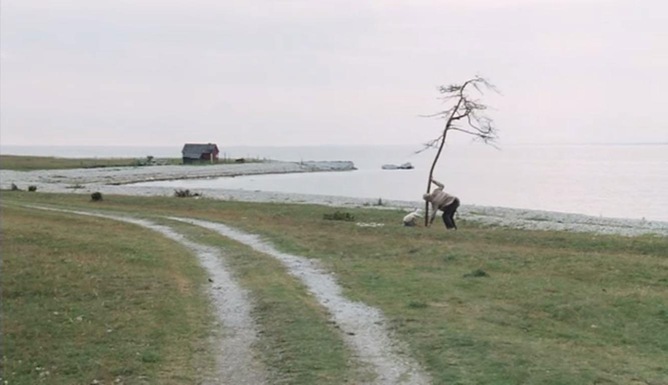 「サクリファイス」 (c)1986 SVENSKA FILMINSTITUTET