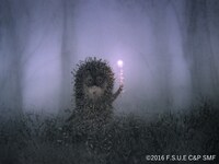 「霧の中のハリネズミ」