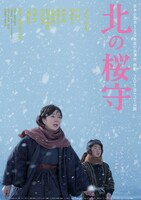 「北の桜守」ティザーポスタービジュアル