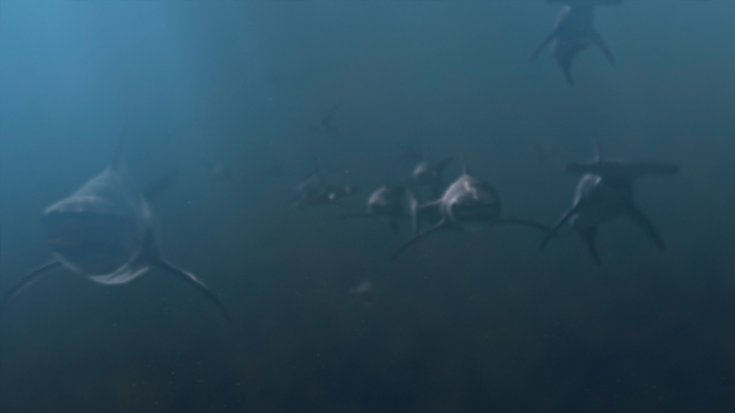 「PLANET OF THE SHARKS 鮫の惑星」