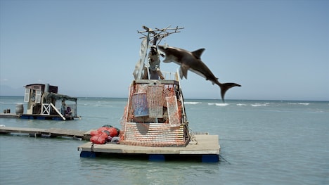 「PLANET OF THE SHARKS 鮫の惑星」