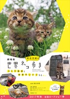 「劇場版 岩合光昭の世界ネコ歩き コトラ家族と世界のいいコたち」