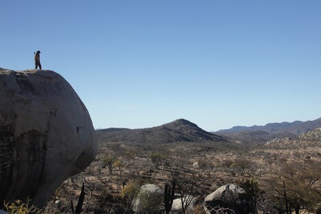 「ノー・エスケープ 自由への国境」