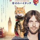 ミュージシャンと野良猫の実話描くベストセラーが実写化「ボブという名の猫」公開