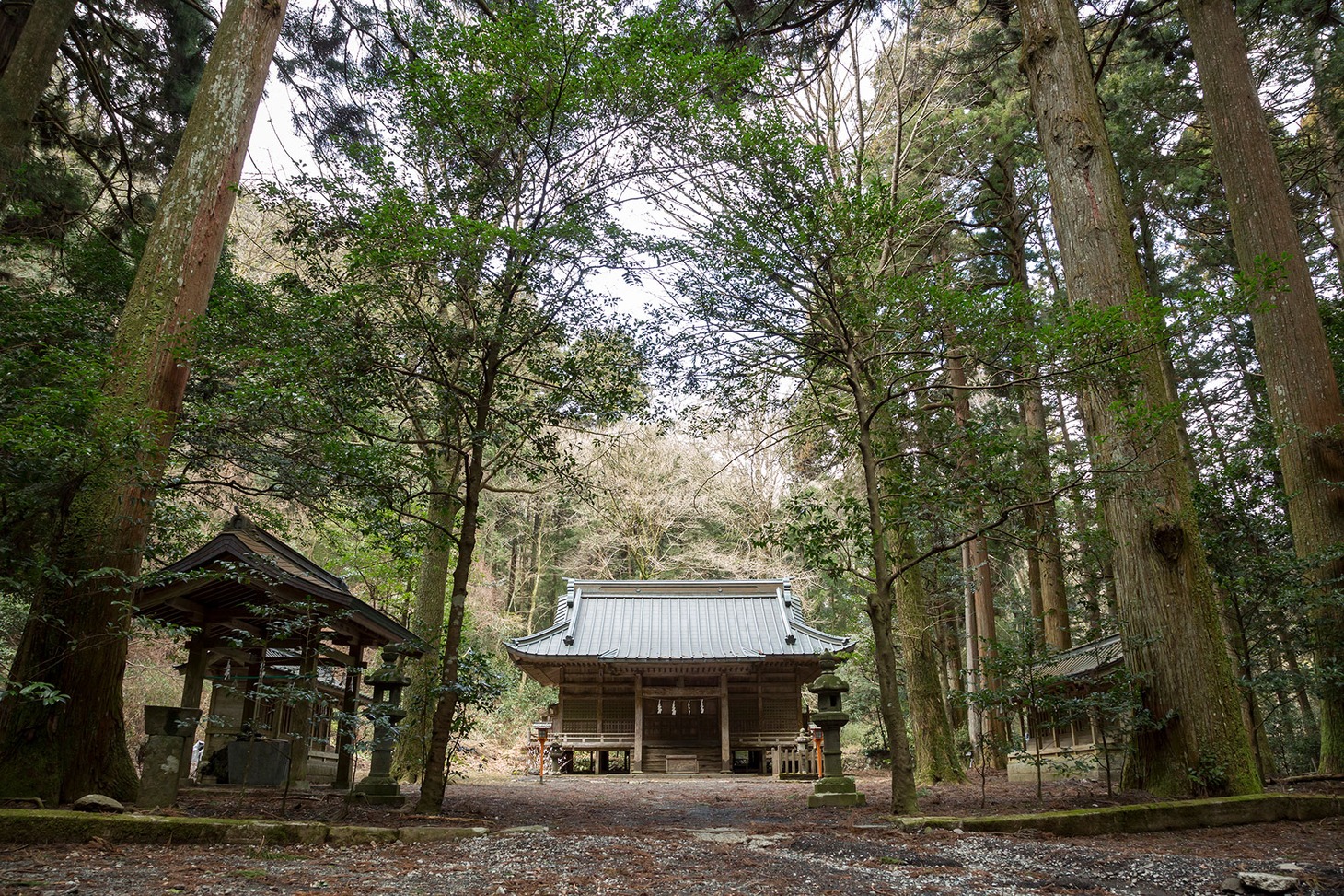 「劇場版 屍囚獄」