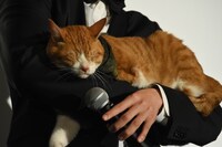 目をつむる金時。