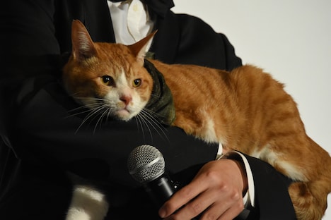 客席を眺める金時。