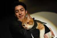 会場をゆっくりと練り歩く大野拓朗と金時。