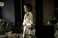 「ヒトラーへの285枚の葉書」