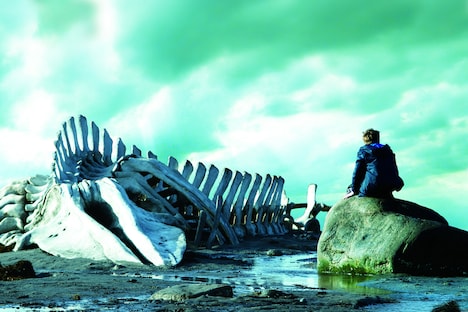 「裁かれるは善人のみ」 (c)2014 Pyramide / LM