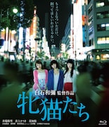 「牝猫たち」Blu-rayジャケット