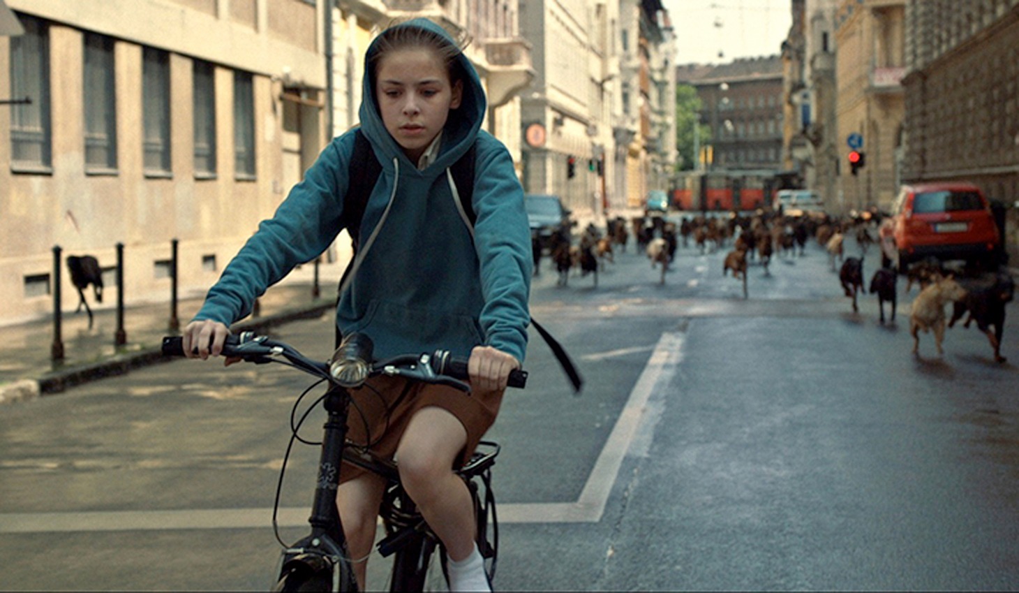 「ホワイト・ゴッド 少女と犬の狂詩曲（ラプソディ）」 2014(c) Proton Cinema, Pola Pandora, Chimney
