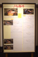 「食べるを描く。」の様子。