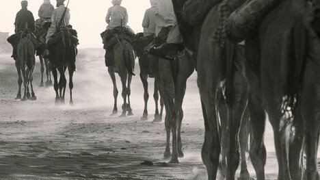 「旅する写真家 レイモン・ドゥパルドンの愛したフランス」