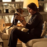 激おこぷんぷんオールナイト開催、「ジョン・ウィック」「セッション」など4作