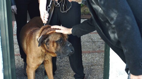 「しあわせな人生の選択」