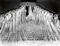 「集まれ、野郎ども！」