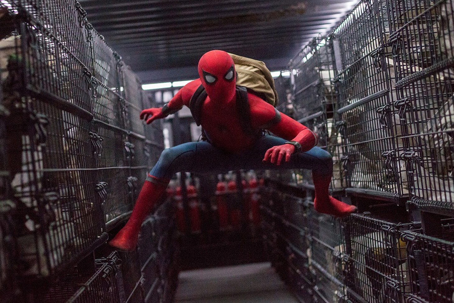 「スパイダーマン：ホームカミング」
