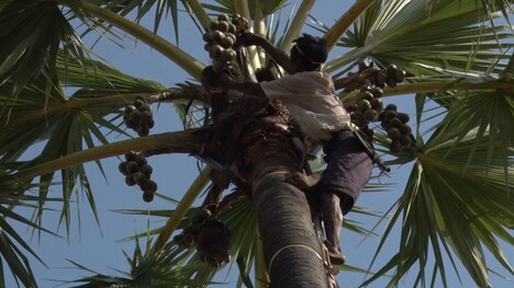 「シュガー＆スパイス」