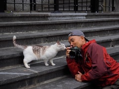 猫が跳ぶ 寝転がる 岩合光昭の世界ネコ歩き 劇場版の写真解禁 映画ナタリー 猫が跳ぶ 寝転がる 岩合光昭の世界ネコ歩き 劇場版の写真解禁 映画ナタリー