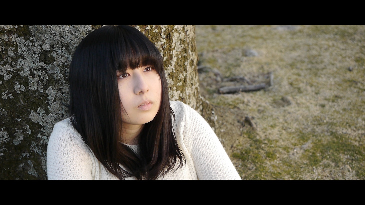 「アンテナ」
