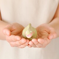 張り子のゴジラ 第2形態