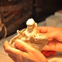 張り子のゴジラの制作工程。