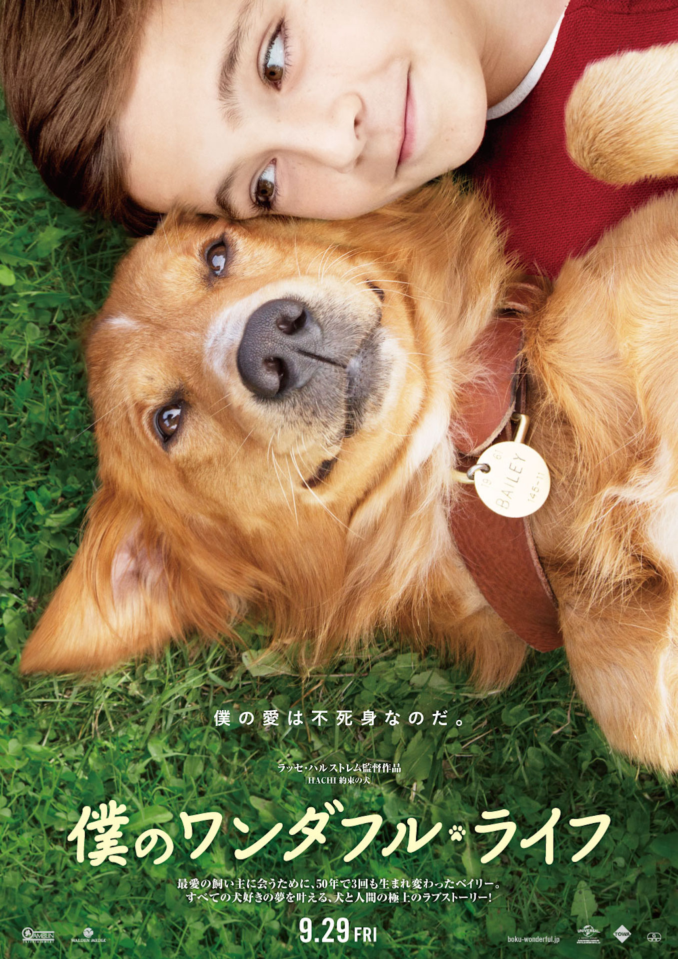 「僕のワンダフル・ライフ」ポスタービジュアル (c) 2017 Storyteller Distribution Co., LLC and Walden Media, LLC