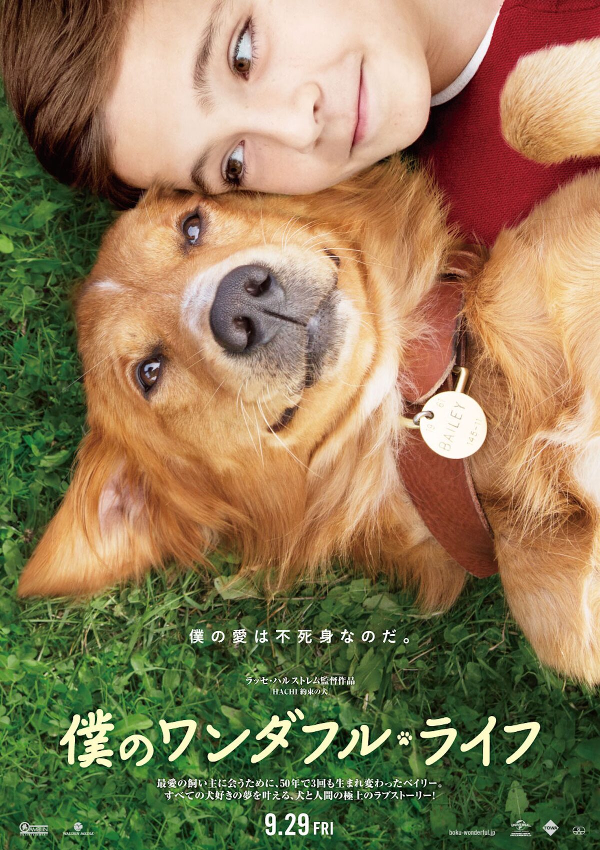 犬が飼い主に会うため転生繰り返す映画 僕のワンダフル ライフ 9月公開 映画ナタリー