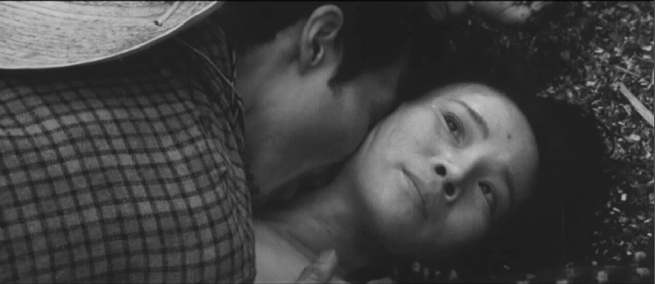 新日本暴行暗黒史　復讐鬼 : 新日本暴行暗黒史 復讐鬼 [DVD] : 吉沢健, 津島明子, 田口一矢, 関成夫, 村岡五郎, 津崎公平, 若松孝二:  DVD