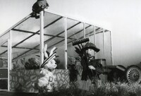 「V・ポッターの童話より ピーターうさぎの冒險！」