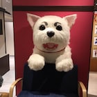 「銀魂」万事屋銀ちゃん新宿店オープン、定春に頭をかじられるフォトスポットも