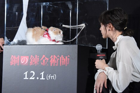 ニャルフォンス役で映画に出演しているぼーちゃんと見つめ合う本田翼。