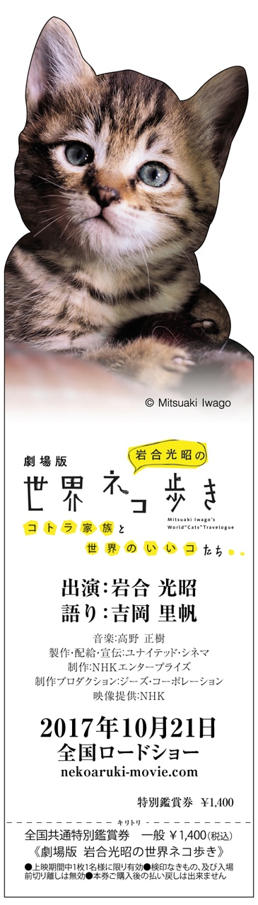 「劇場版 岩合光昭の世界ネコ歩き コトラ家族と世界のいいコたち」前売り券ビジュアル