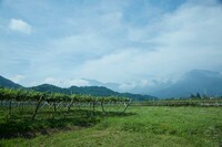 「ウスケボーイズ」ロケ地より。