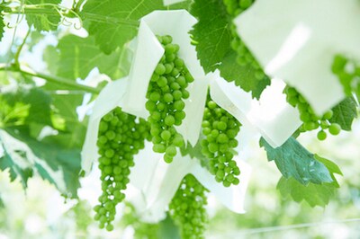 「ウスケボーイズ」ロケ地より。