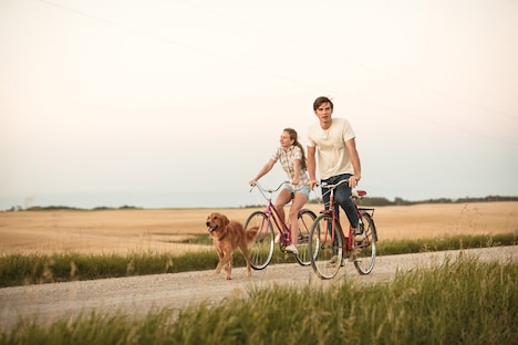 「僕のワンダフル・ライフ」