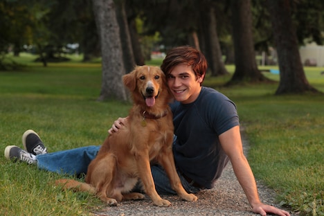 「僕のワンダフル・ライフ」