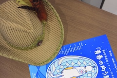 ここさけ 歌う石井杏奈や玉子役 寛一郎捉えたミュージカルシーンの写真公開 映画ナタリー